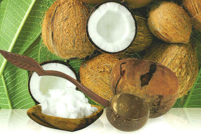 Masáž s kokosovými miskami - ritual Coconut